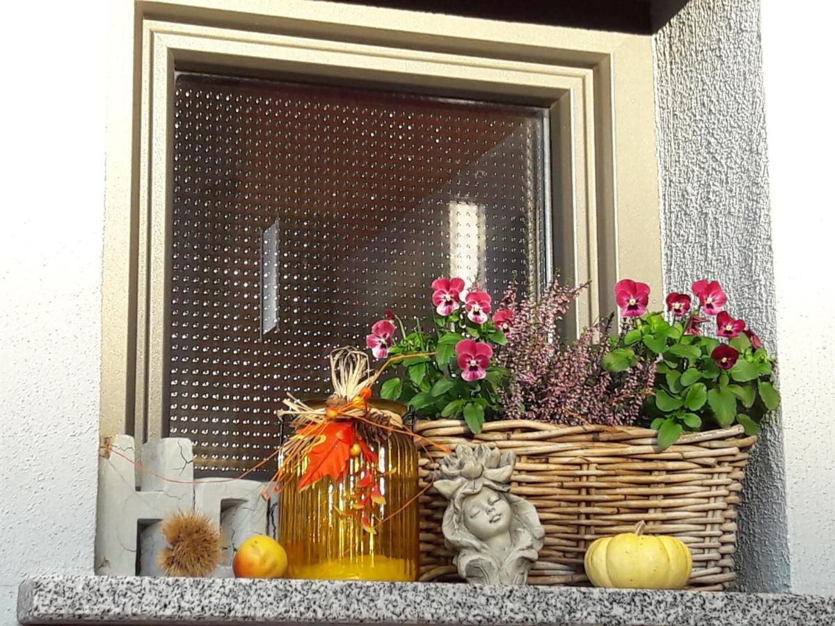 Ferienwohnung Am Gaesschen Лосхайм Экстерьер фото